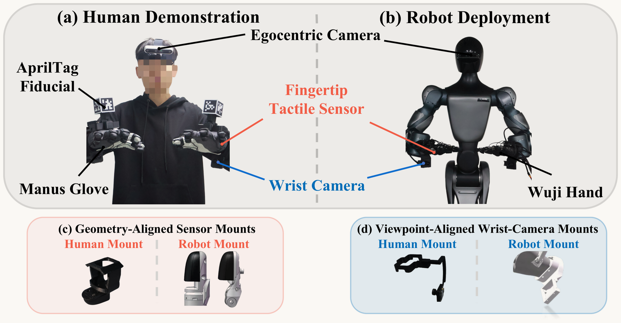Human–robot hardware co-design